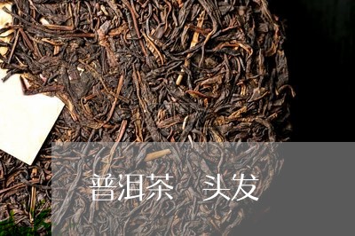 普洱茶 头发/2023042980361